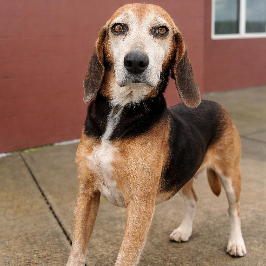 Nana Banana — thumbnail 4