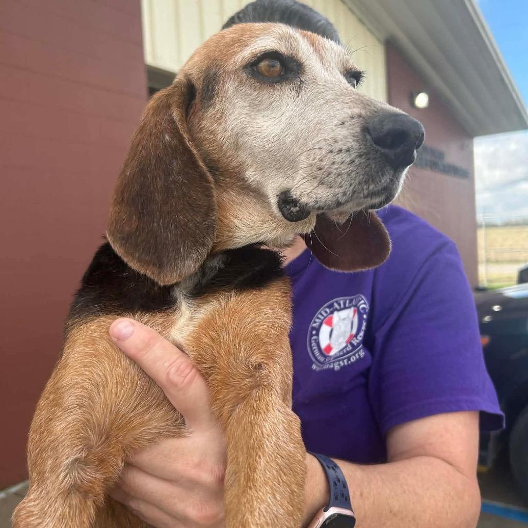 Nana Banana — thumbnail 5