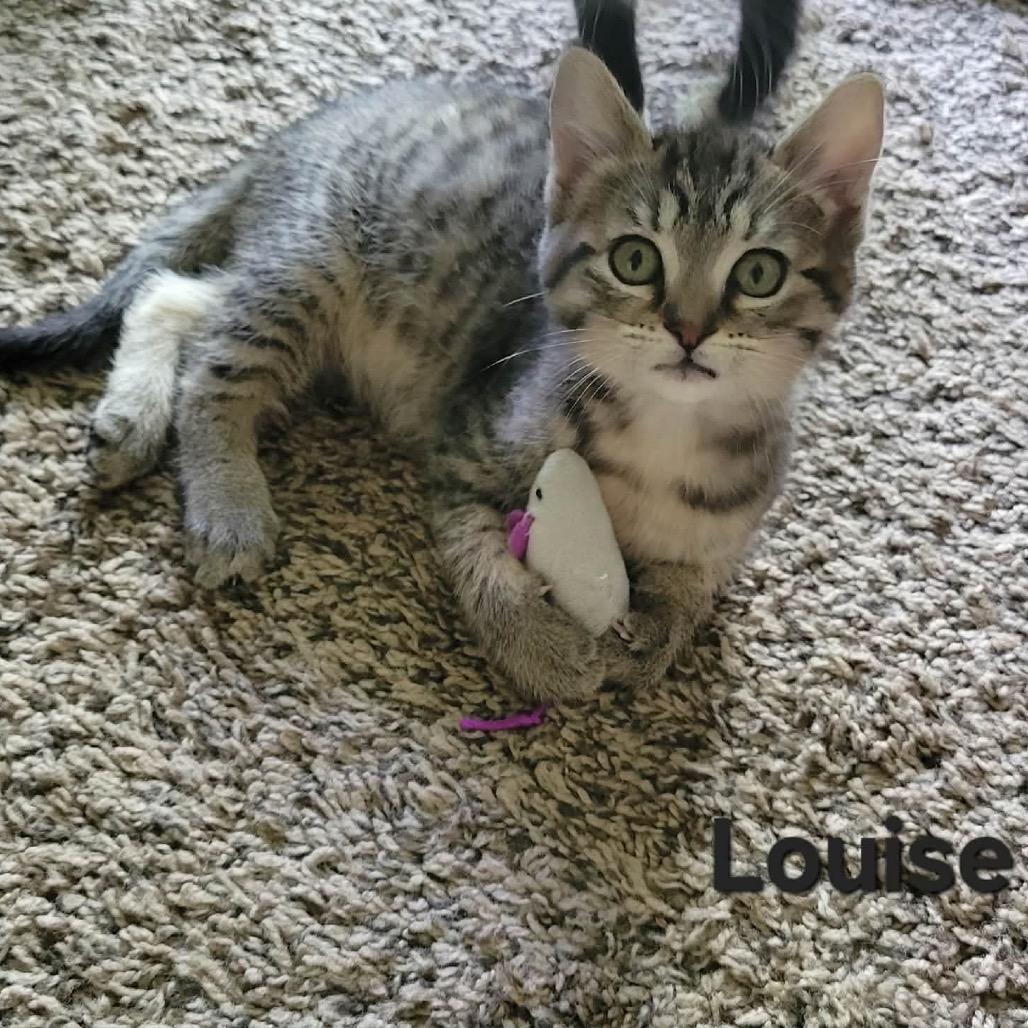 Photo of Louise