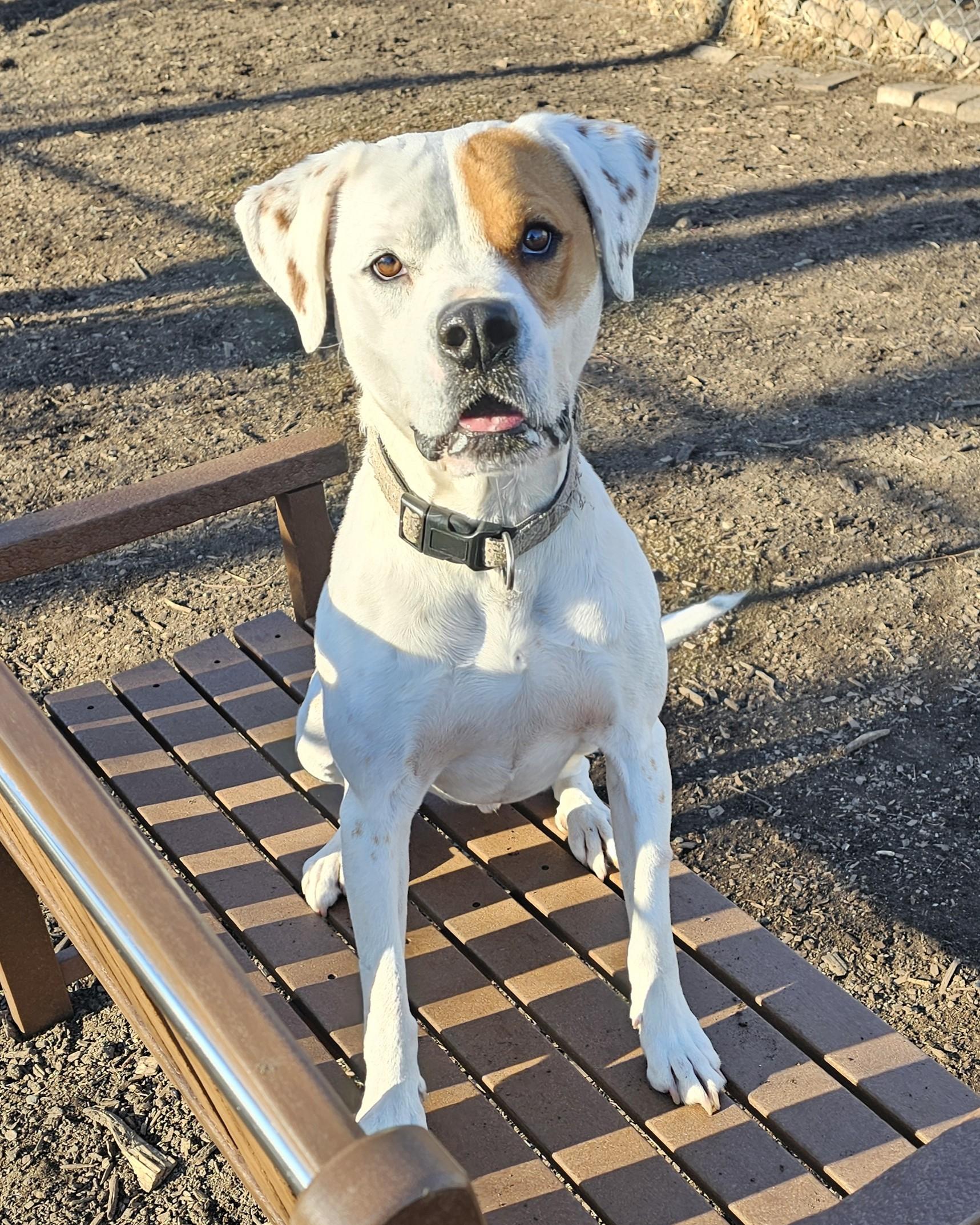Charlie