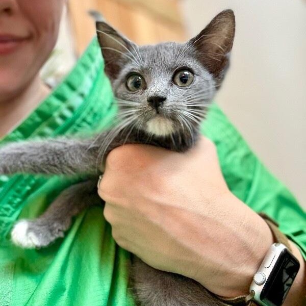 Joanne Marie TCHS — thumbnail 4