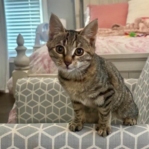 Sienna Skye — thumbnail 2