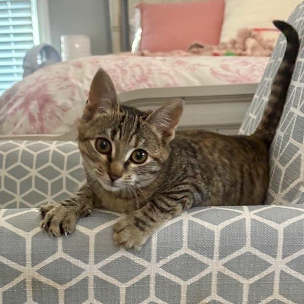 Sienna Skye — thumbnail 3