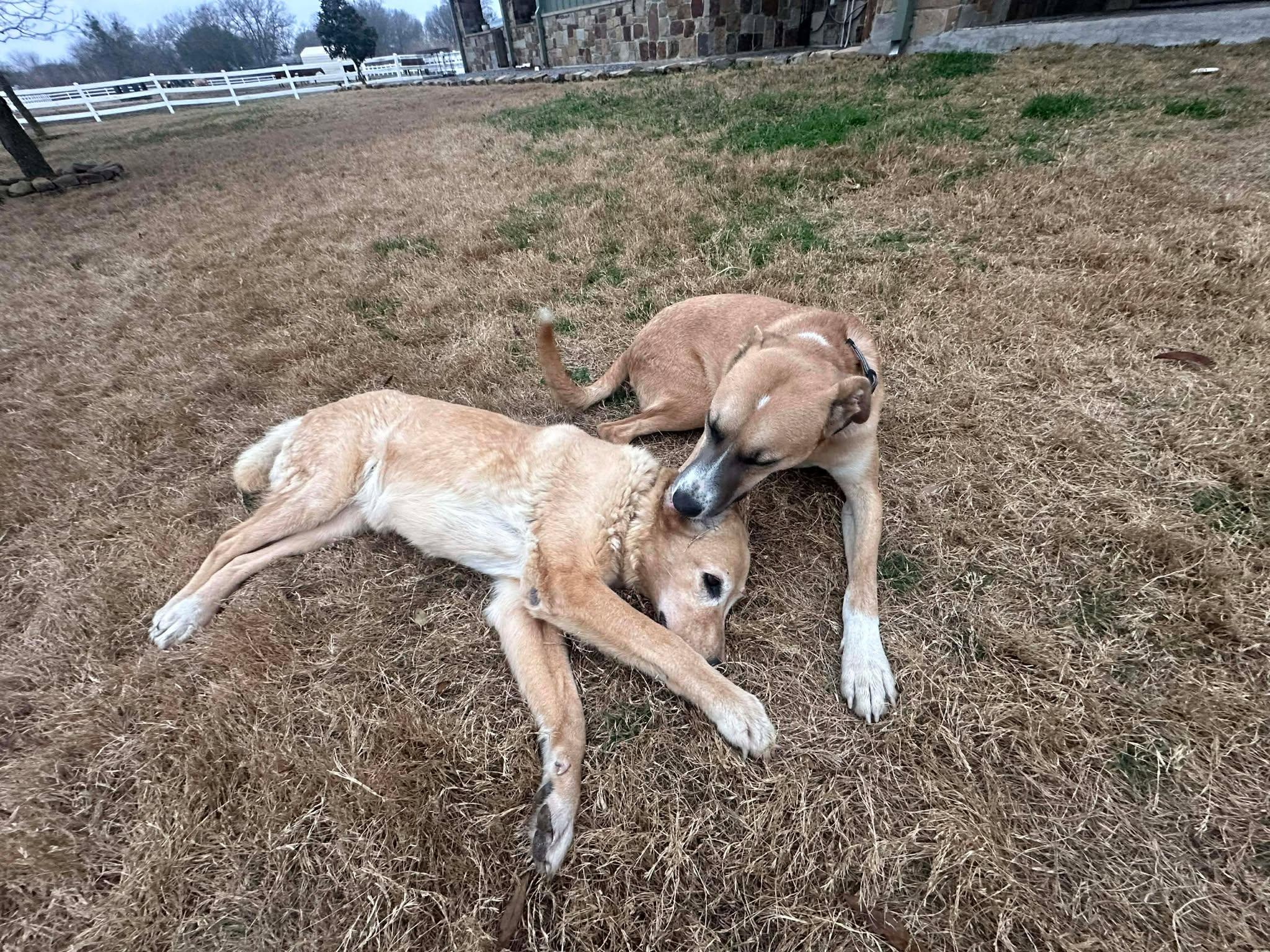 Flip — thumbnail 4