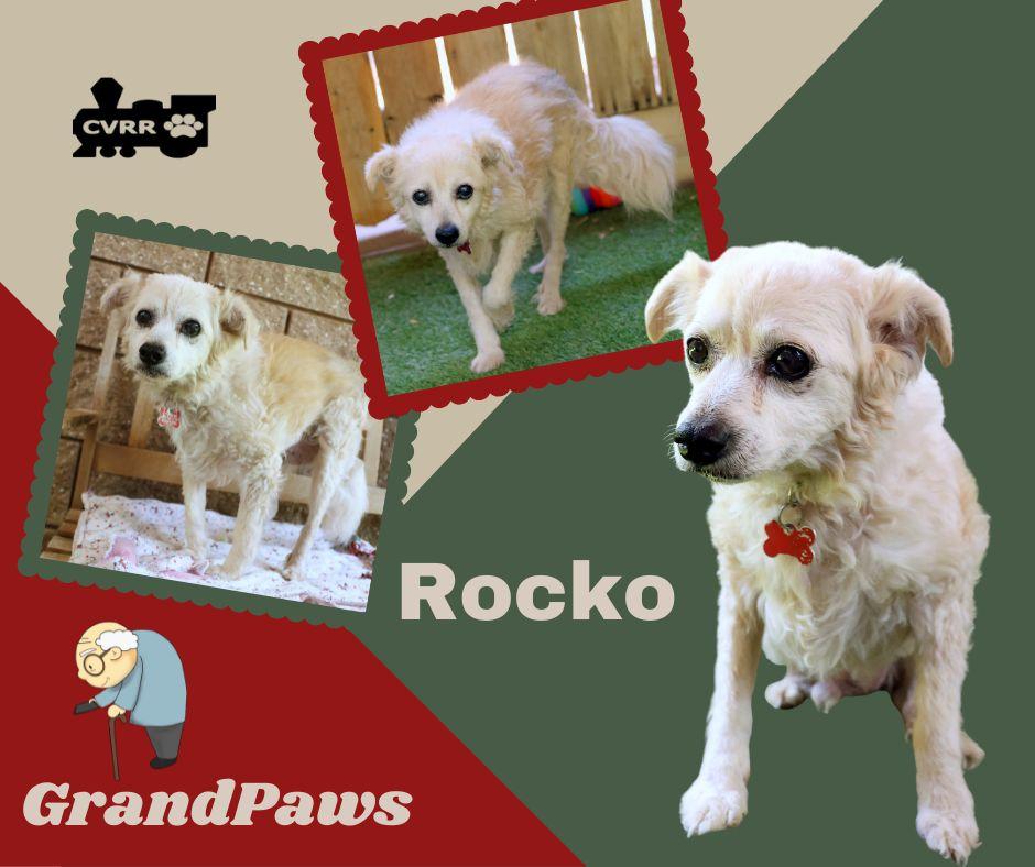 Enlarge Rocko (GrandPaws), a Adoptable Terrier in LINDSAY, CA image 2/2