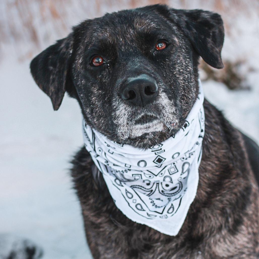 Princess thumbnail 3