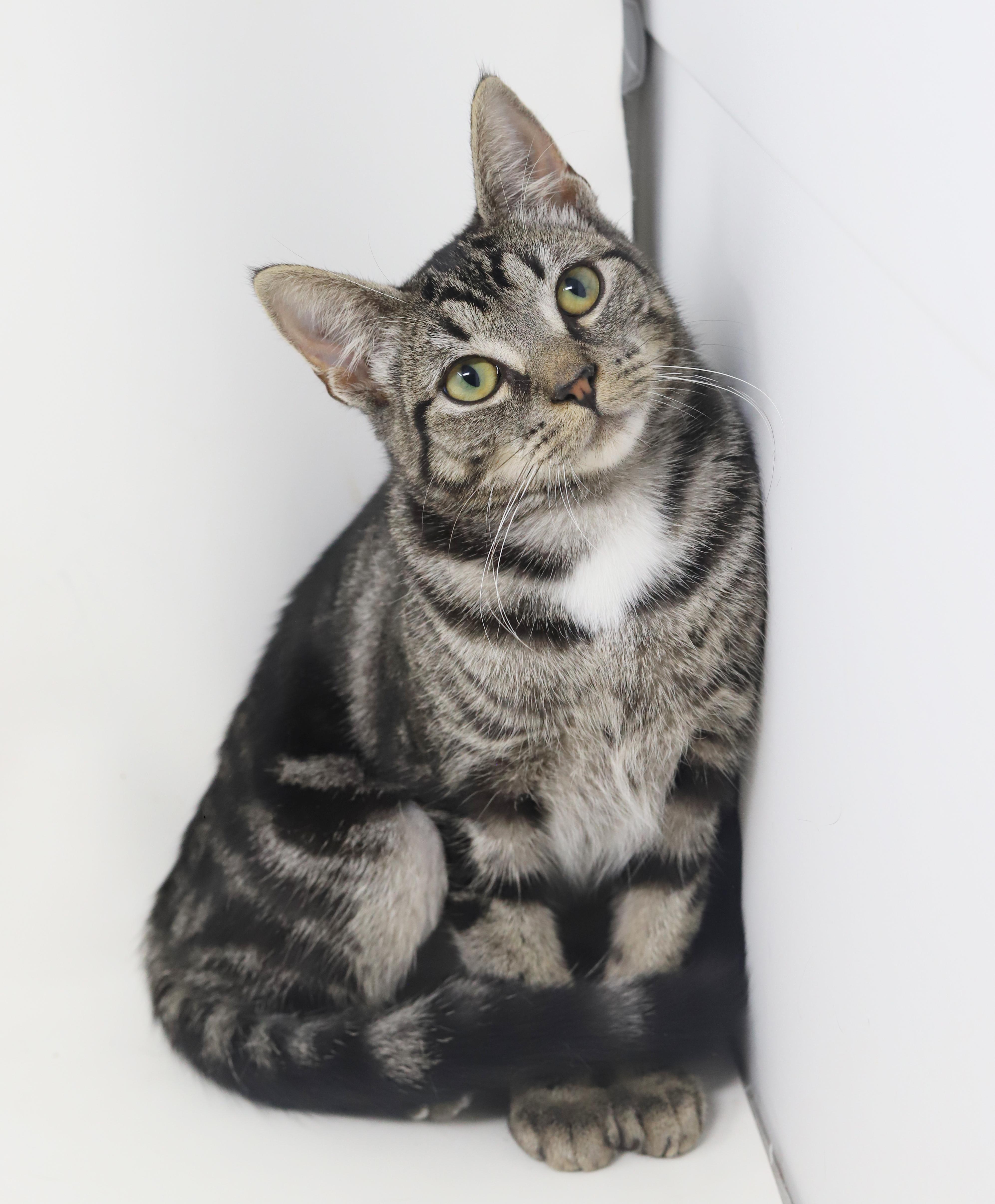 Lucy is an EXOTIC baby LOVER! She will make u the luckiest BFF!!