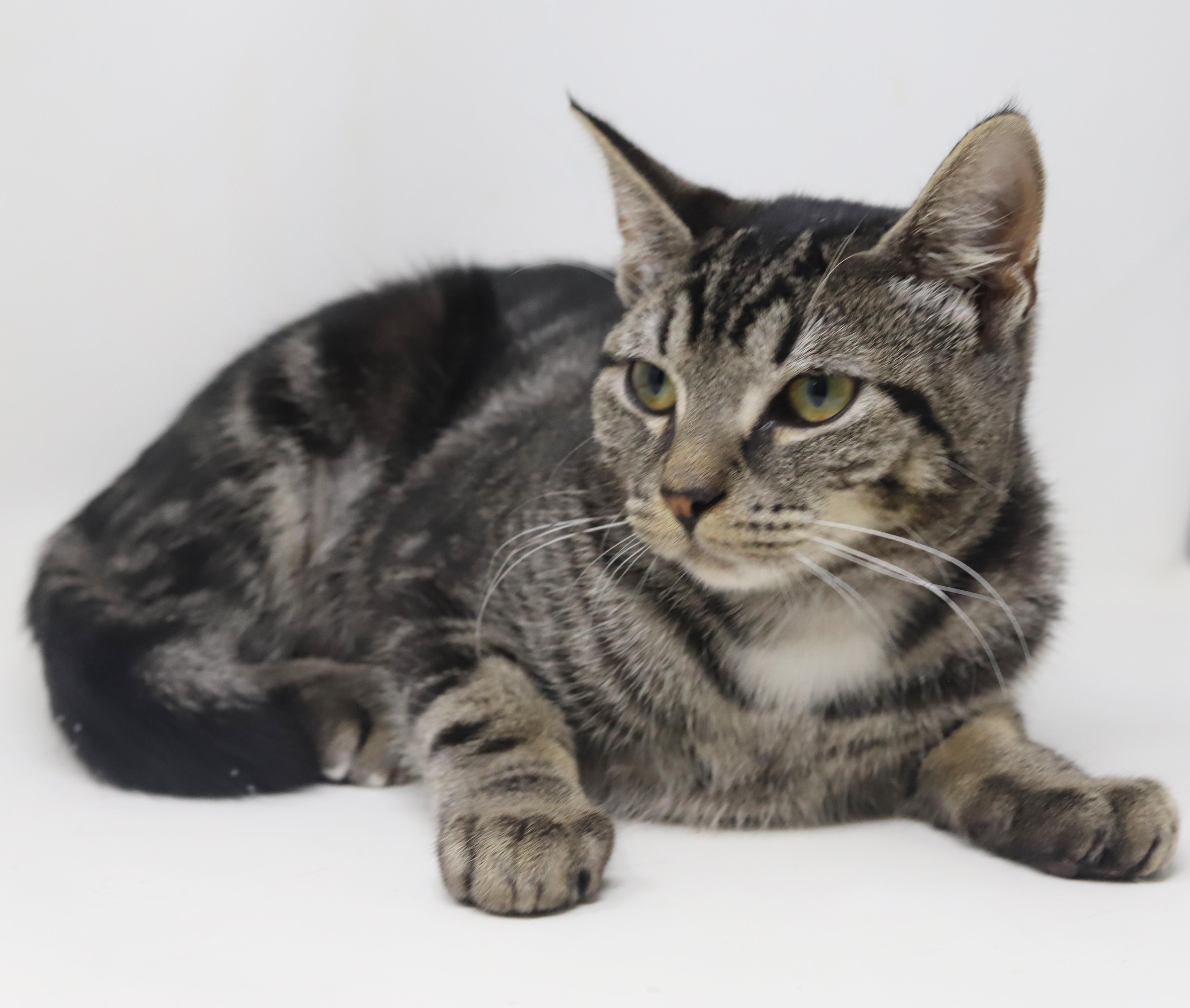 Lucy is an EXOTIC baby LOVER! She will make u the luckiest BFF!!