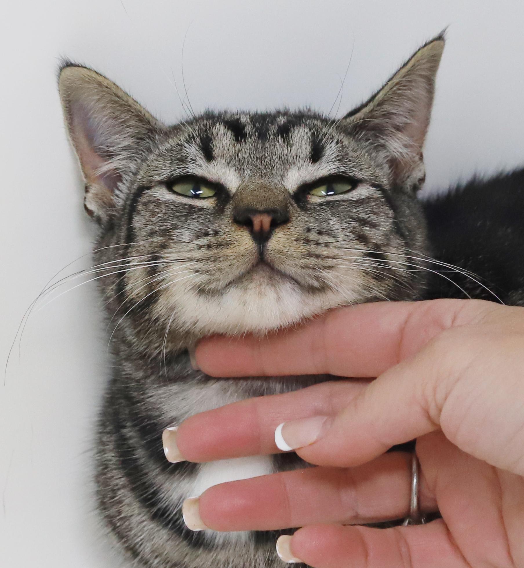 Lucy is an EXOTIC baby LOVER! She will make u the luckiest BFF!!