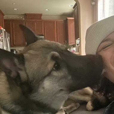 Enlarge Lupin, a Adoptable mixed breed in Pacifica, CA image 1/6