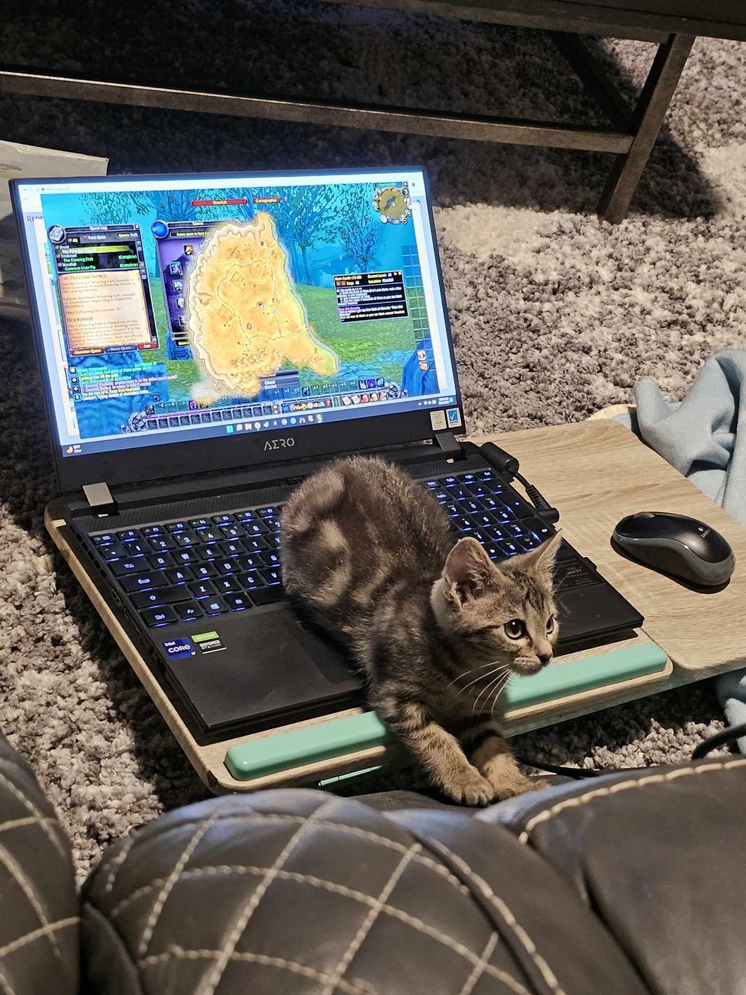 Enlarge Taffy, a Adopted mixed breed in Katy, TX image 2/2