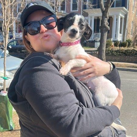 Enlarge Precious, a ADOPTABLE mixed breed in Columbia, MD image 5/6