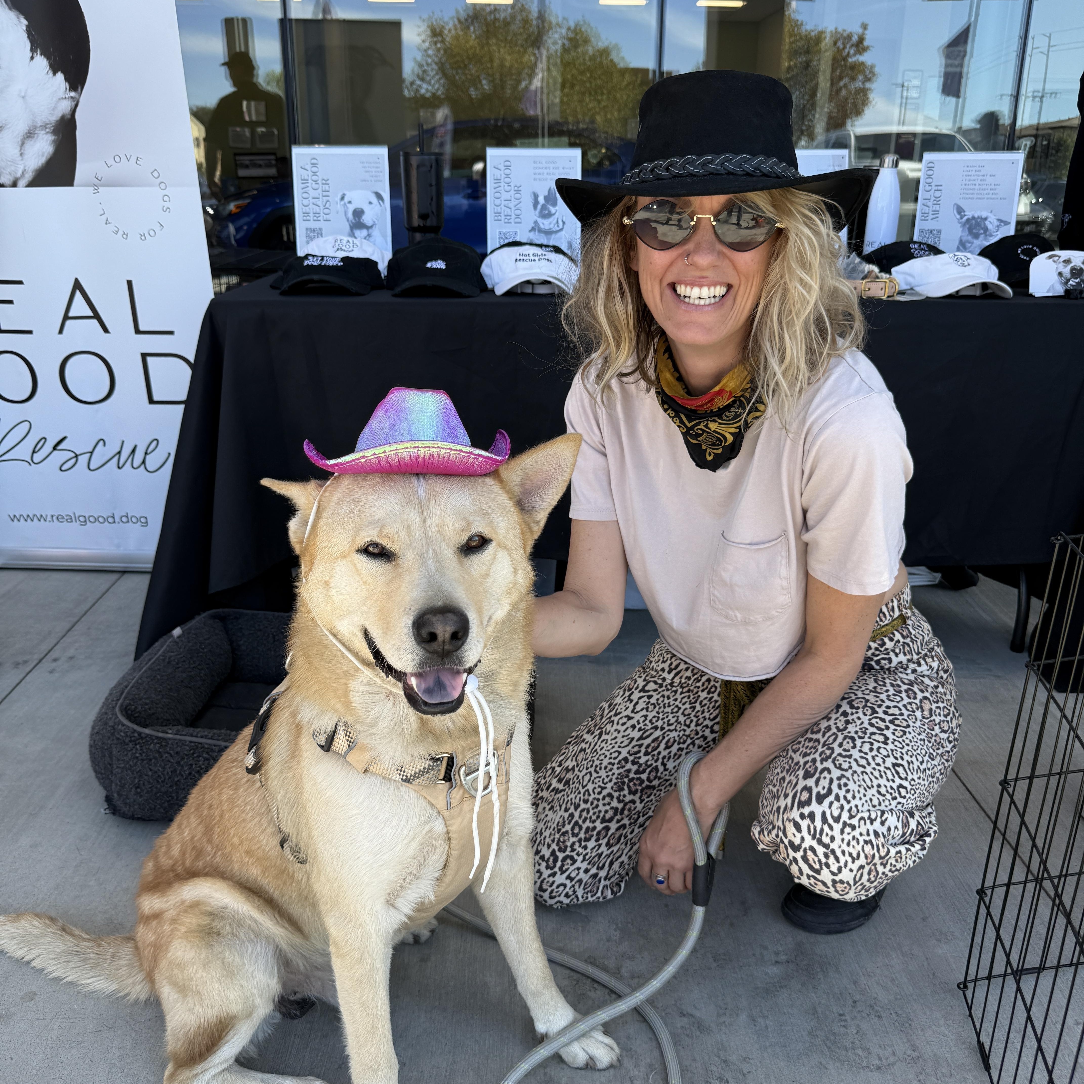 Leonardo DiCaprio, a Adoptable mixed breed in West Hollywood, CA image 4/4