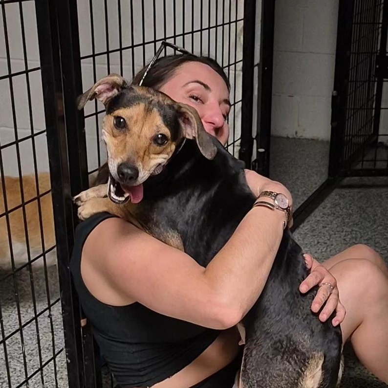 Enlarge Glory, a Adoptable mixed breed in Clay City, KY image 2/6