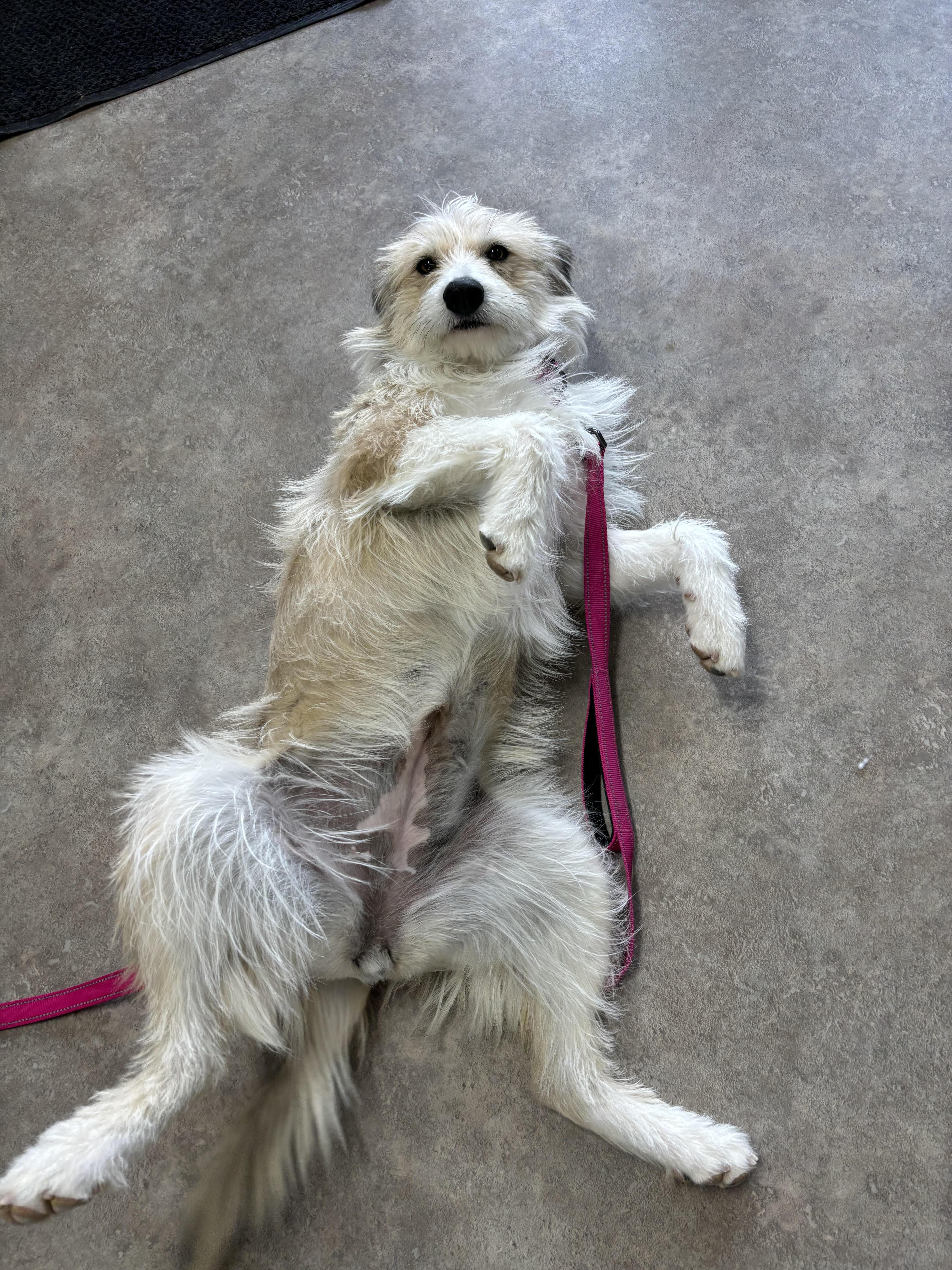 Winnie — thumbnail 2