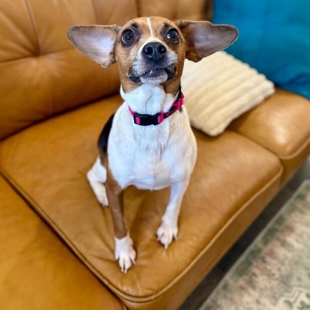 Katniss Everdeen the Ever so Fabulous Cutie — thumbnail 5