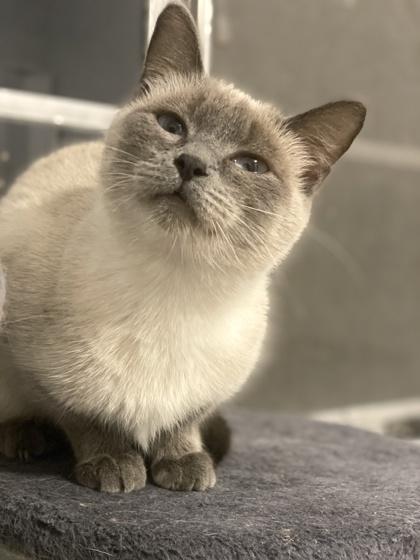 Mabel — thumbnail 2