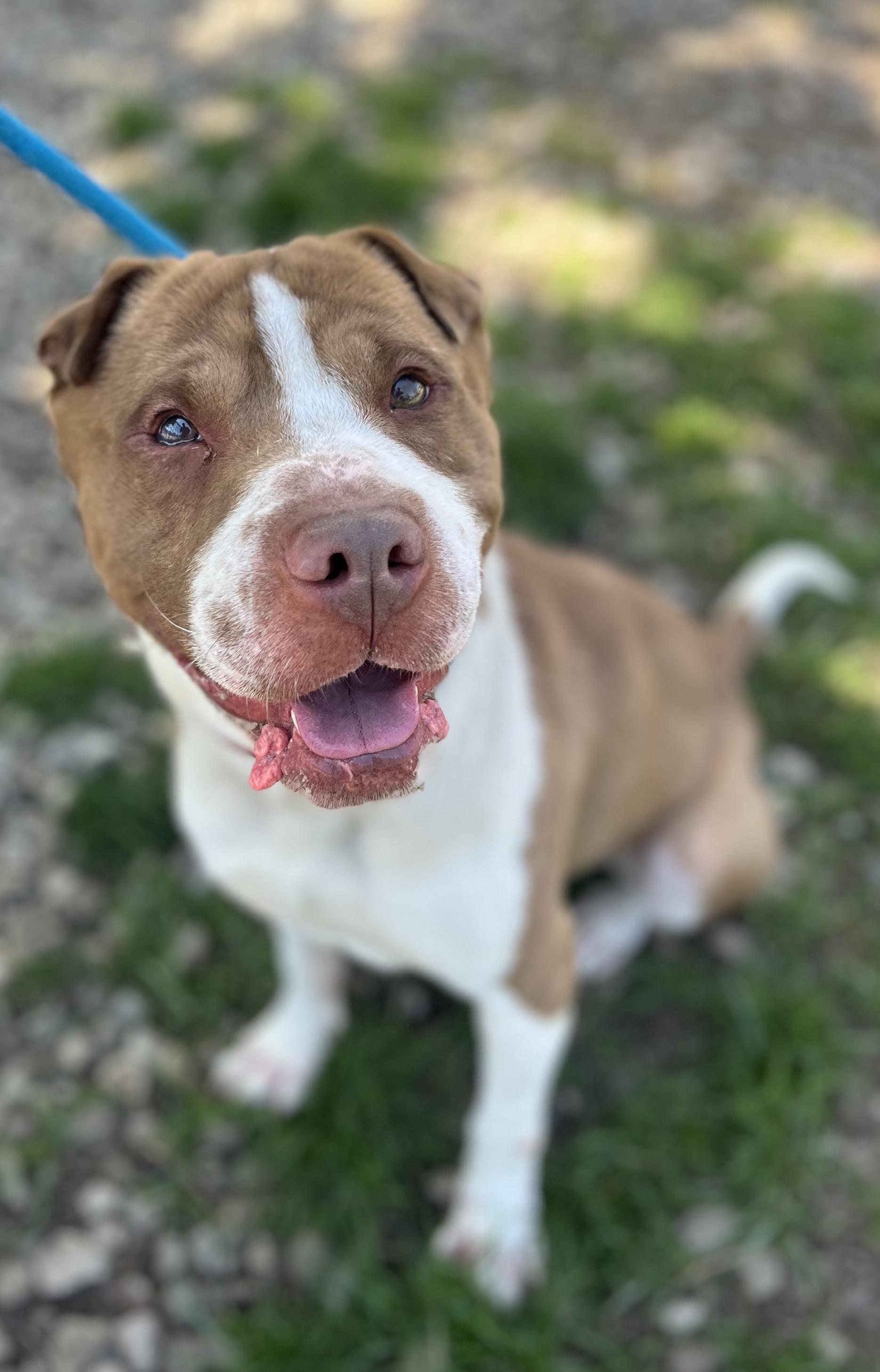 Ralph