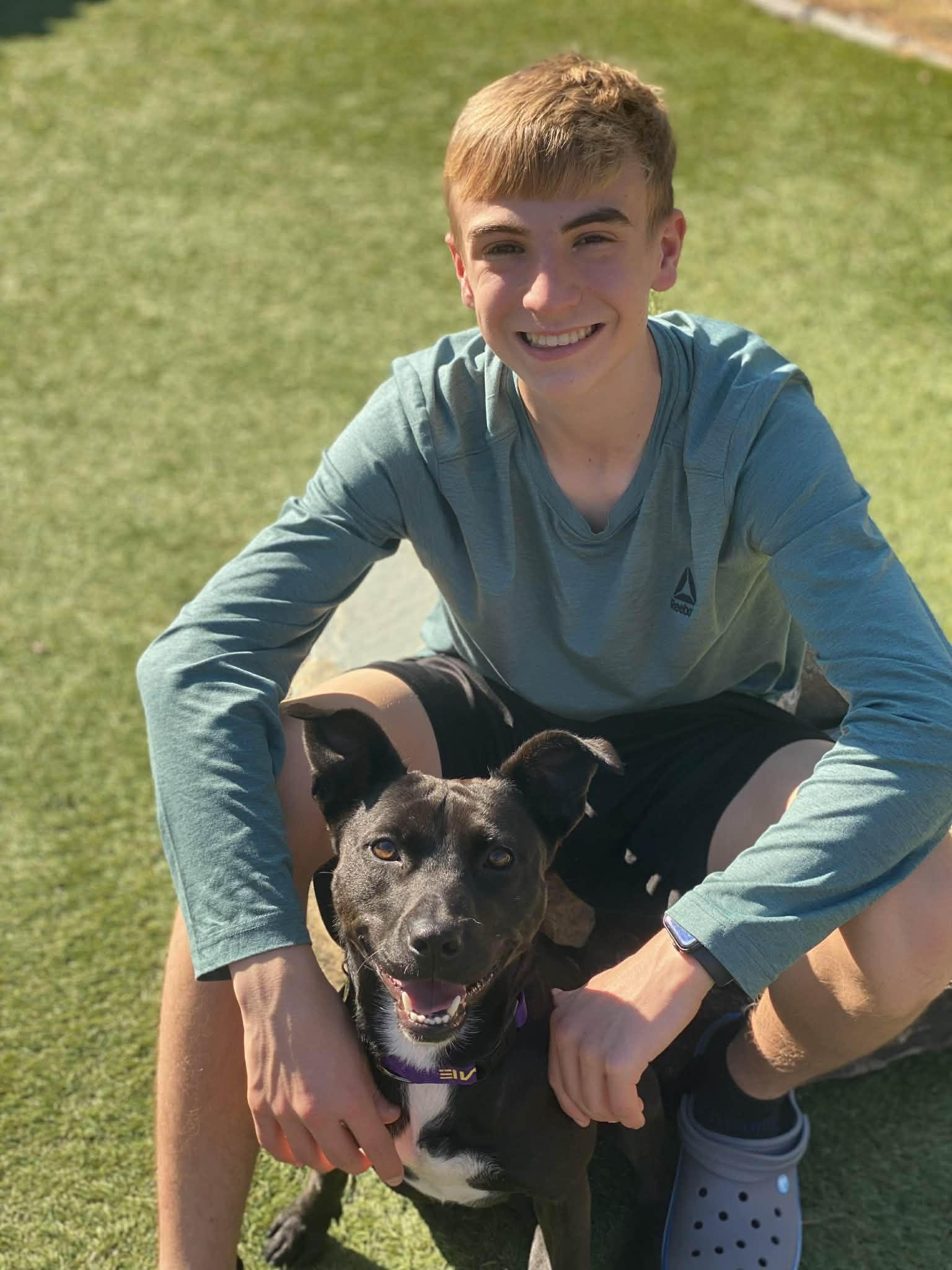 Enlarge JOSIE, a Adoptable mixed breed in Salt Lake City, UT image 3/6