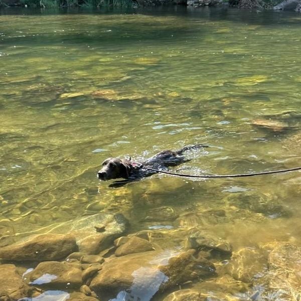 Camal — thumbnail 5