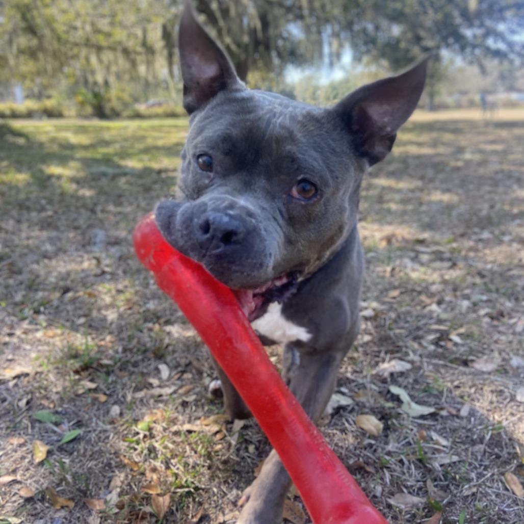 Hippie — thumbnail 5