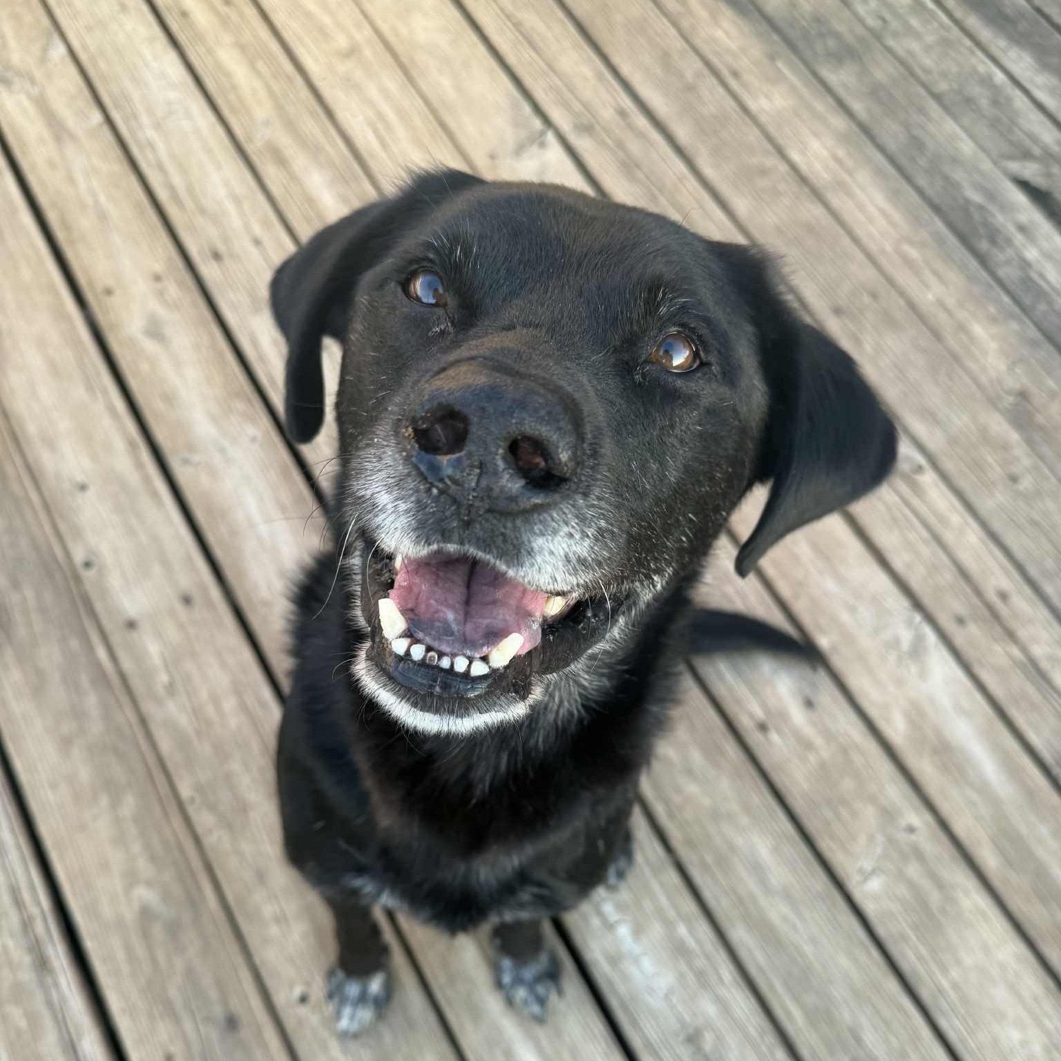 Melvin — thumbnail 2