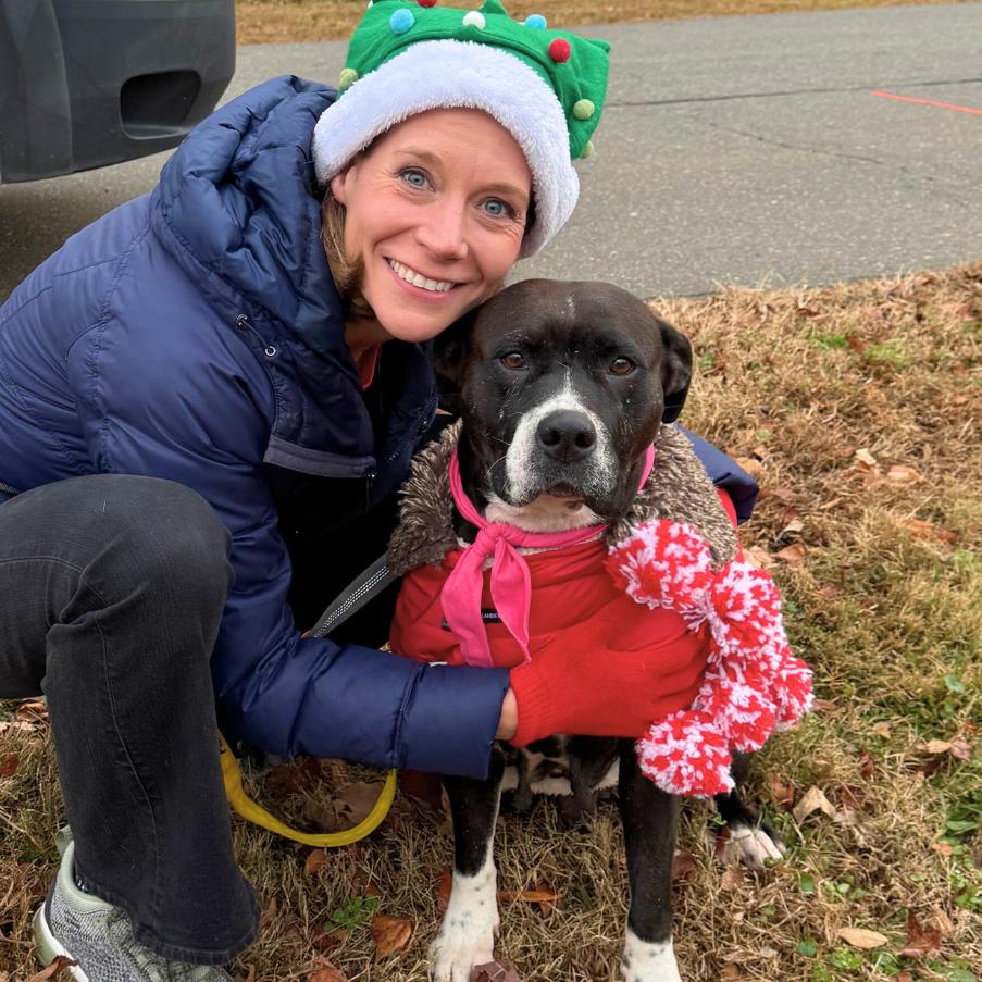 Amara, a Adoptable Mixed Breed in Mebane, NC image 2/3