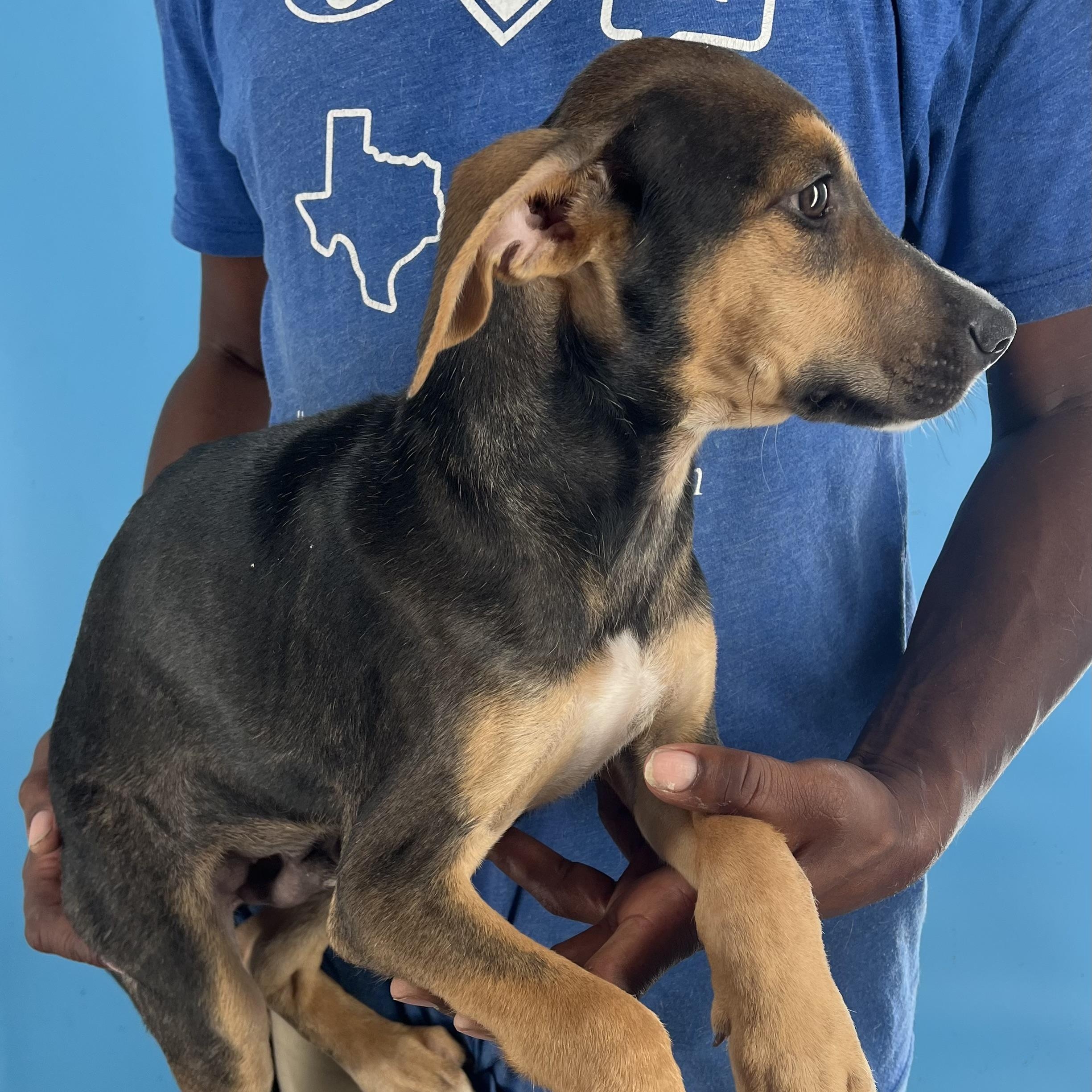 Denver - Local Sept 26-28