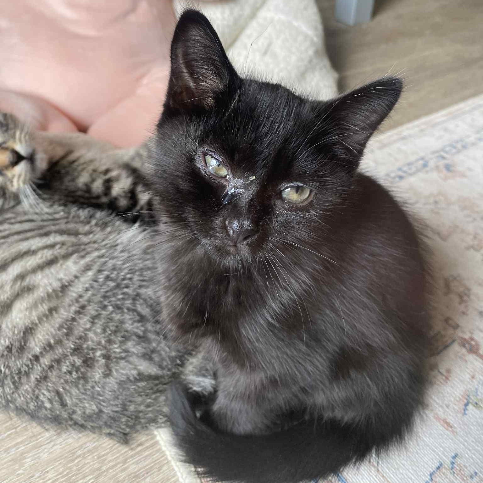 Mike Black - in foster home