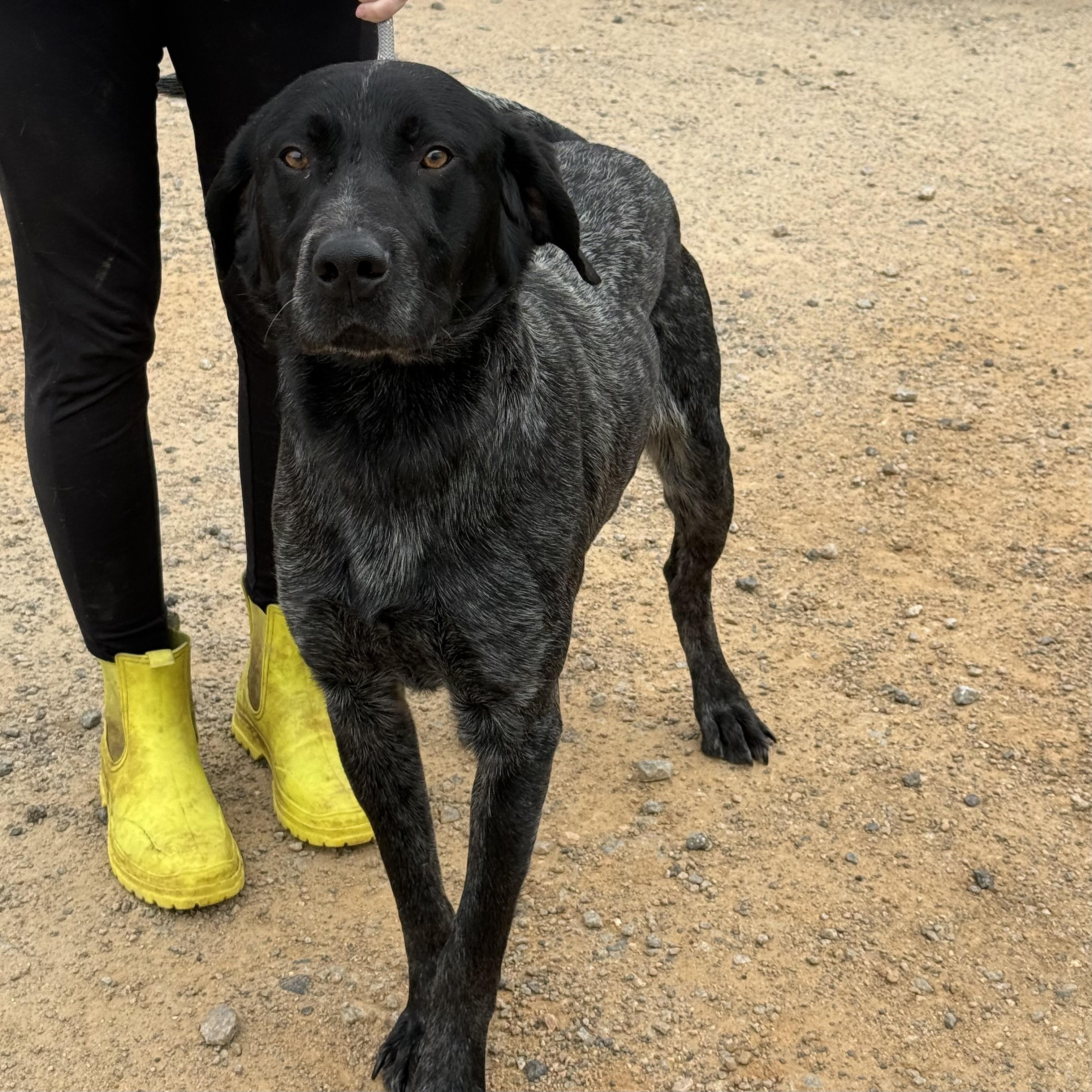 Maverick — thumbnail 5