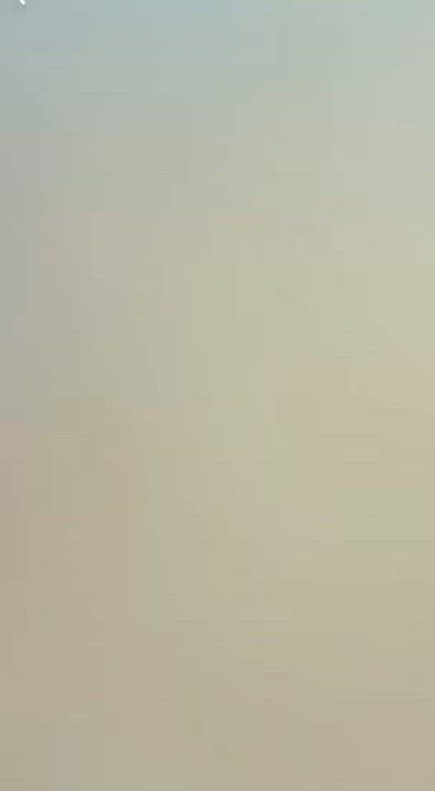 Enlarge Bear, a Adoptable mixed breed in Binghamton, NY video 3/6