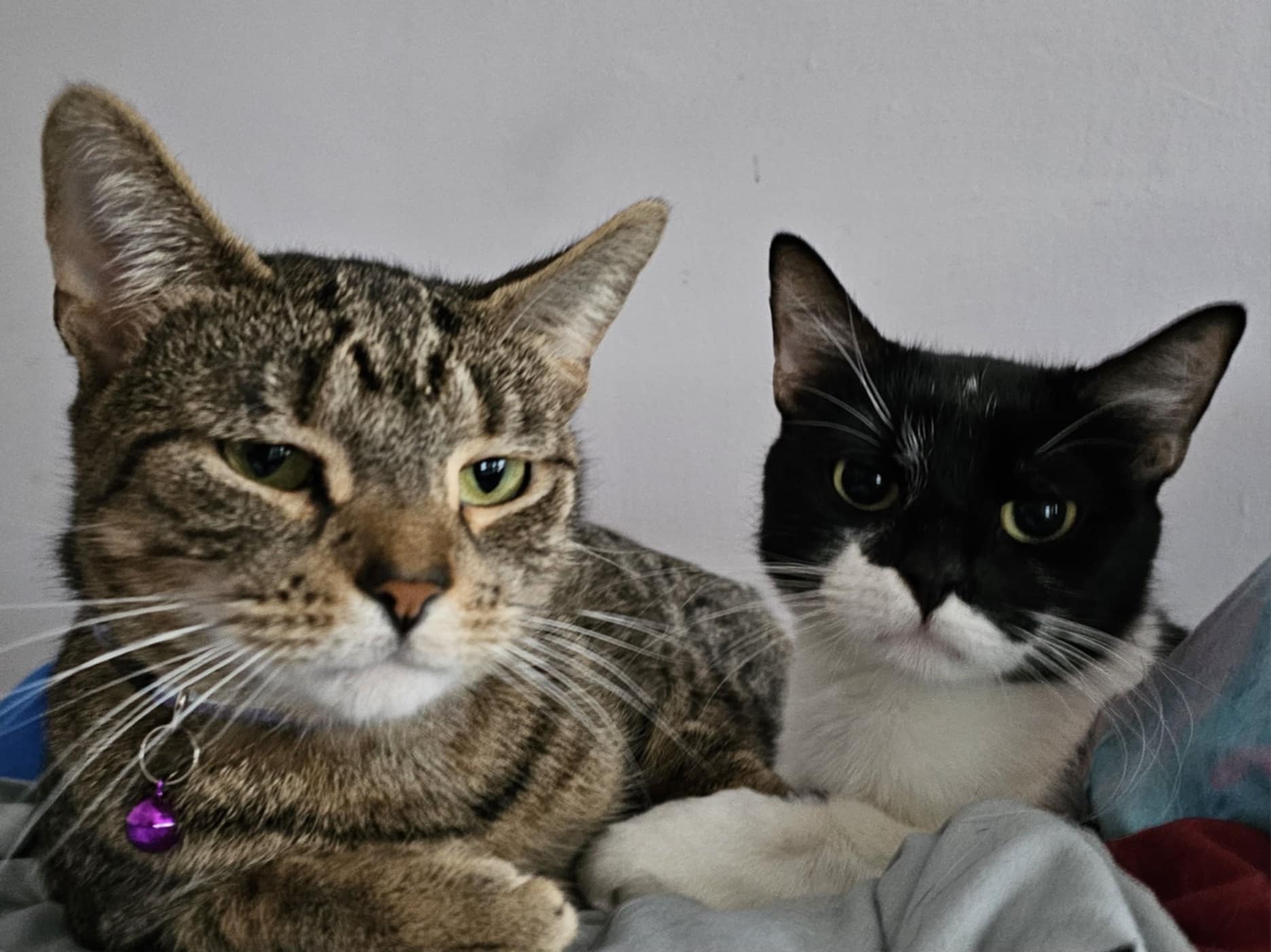 Bubbles and Petra