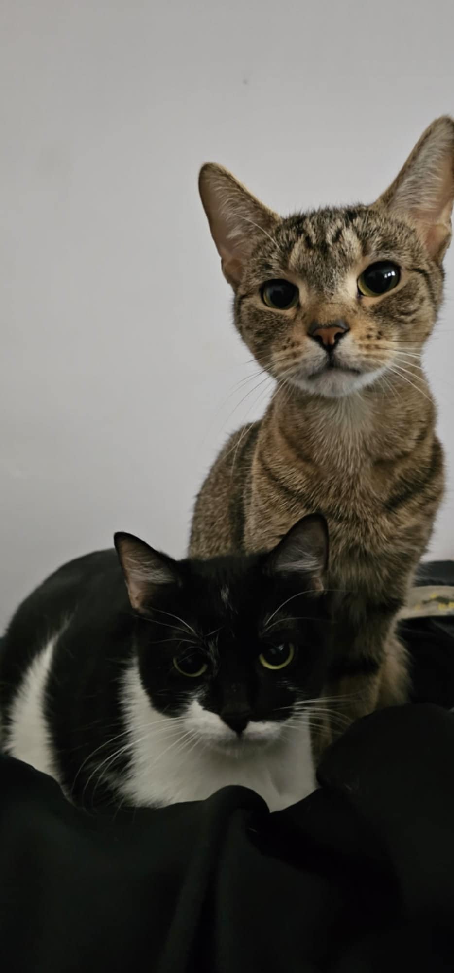 Bubbles and Petra