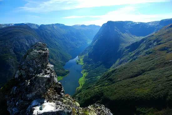 Rudy, an adopted American Bobtail in Bettles, AK image 1/5