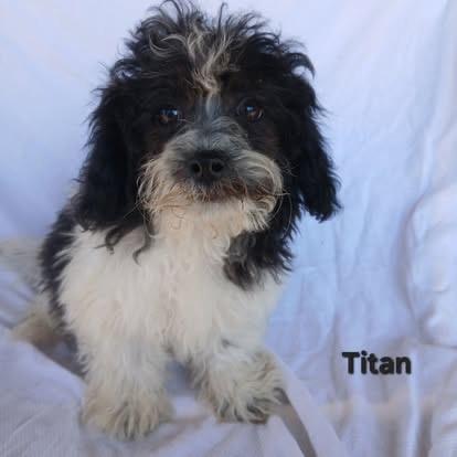 Titan