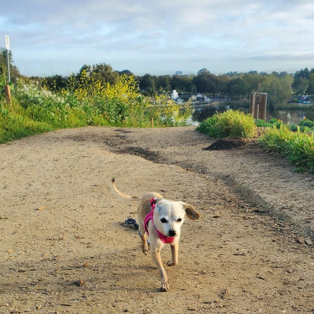 Bippity — thumbnail 3