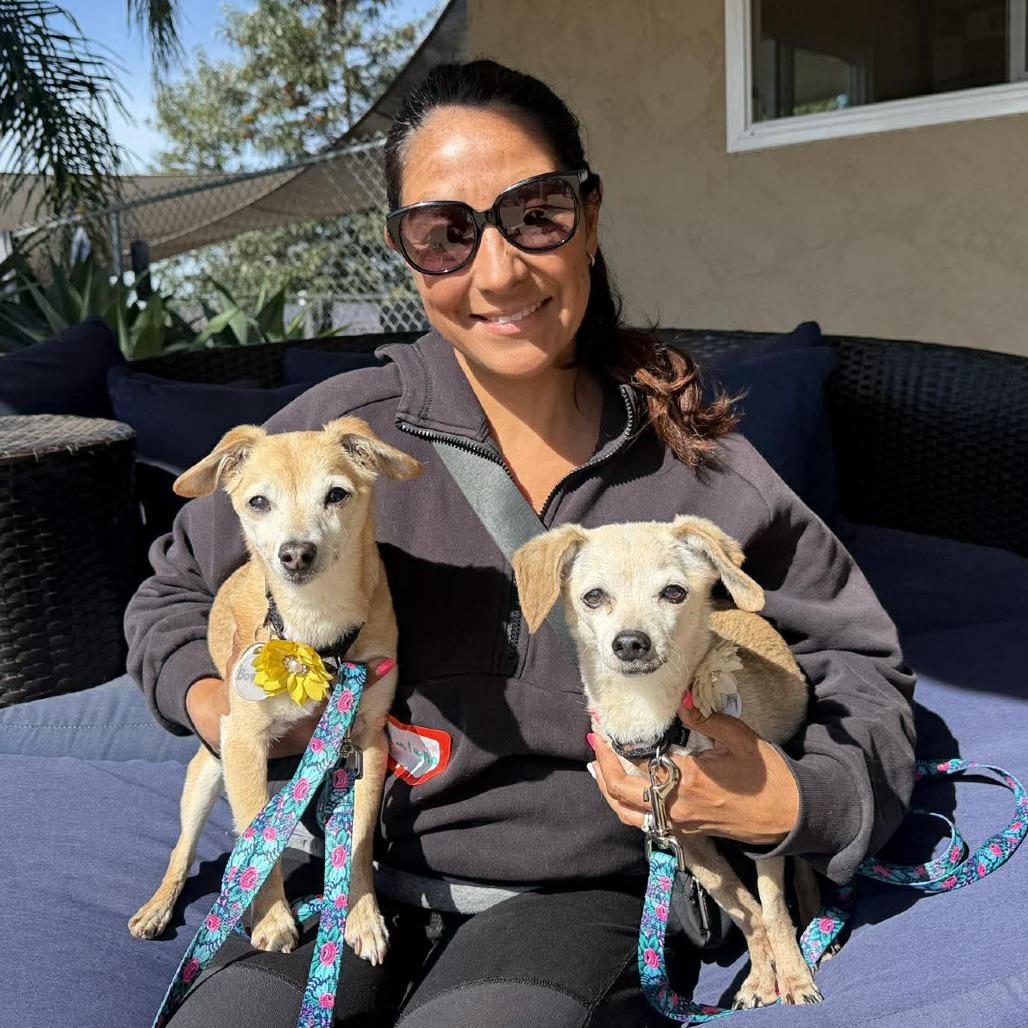 Bippity — thumbnail 5