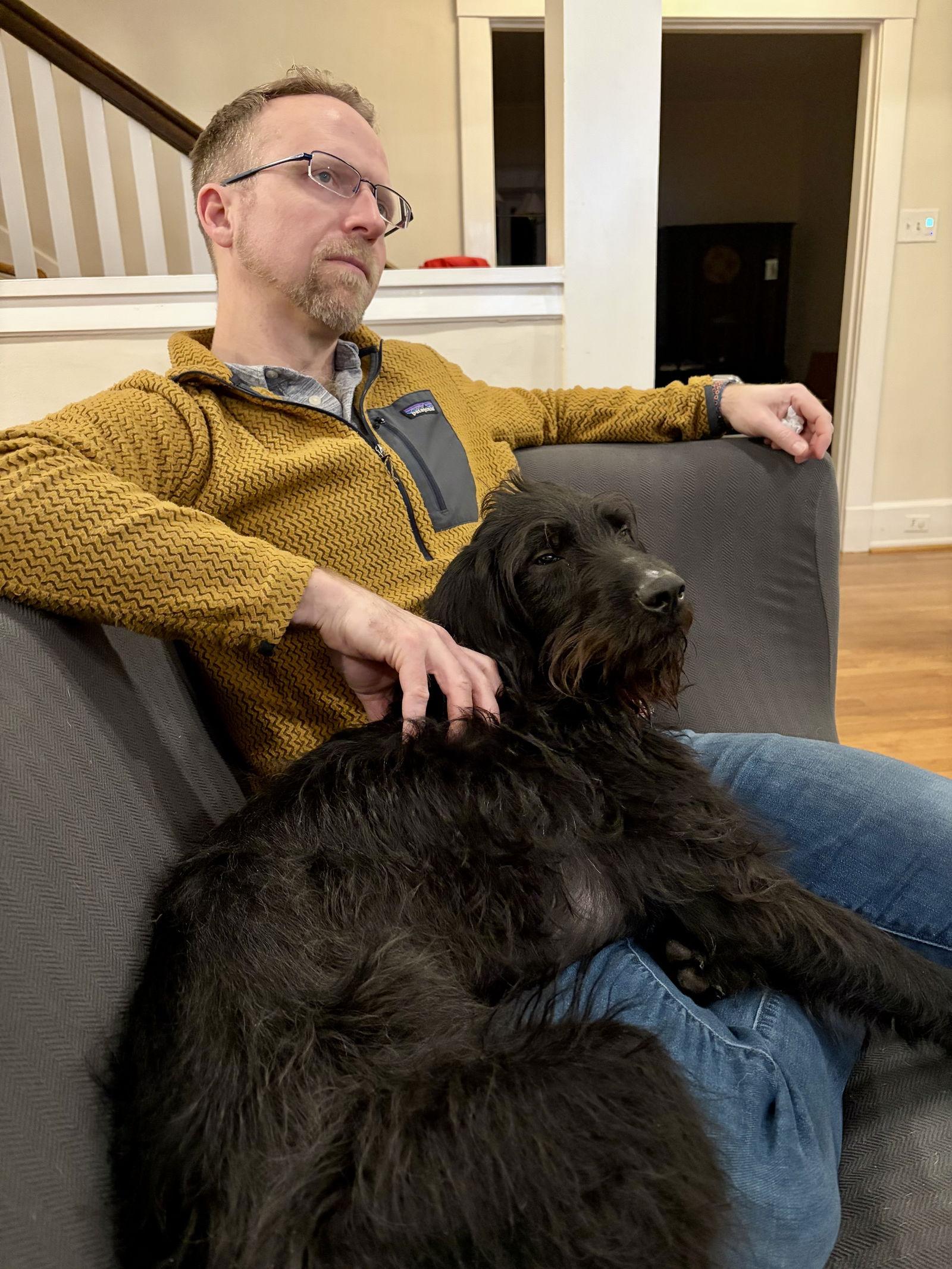 Teddy, a Adoptable mixed breed in Barnhart, MO image 2/3