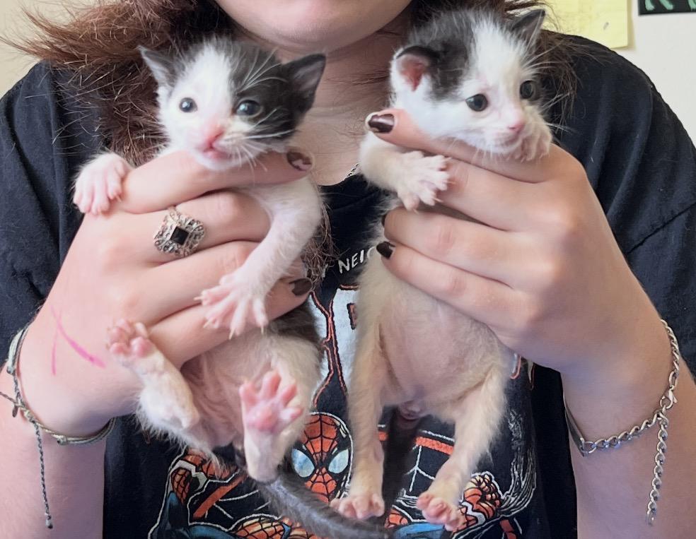 Zara and Igor