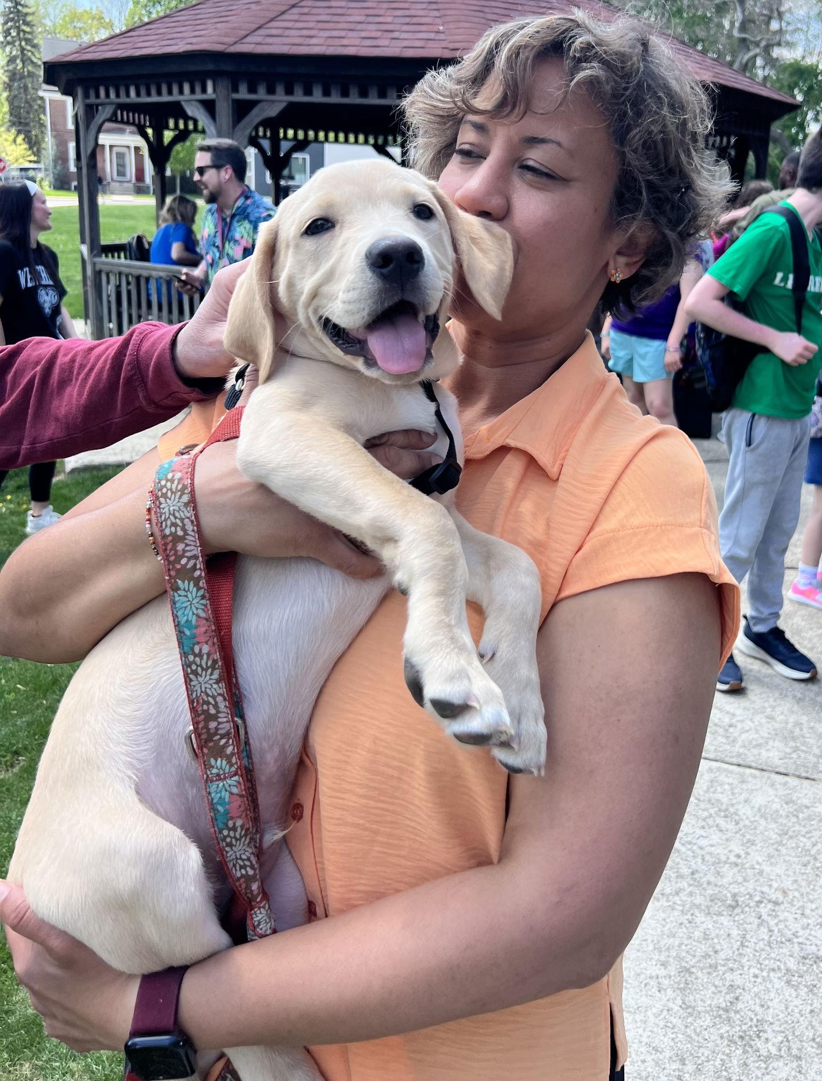 Enlarge Jonsey, a Adopted mixed breed in Spring City, PA image 1/2