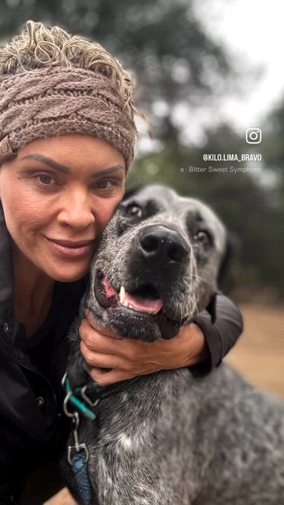 Enlarge Bark Twain (Gunner) 0126, a Adoptable mixed breed in Sonora, CA video 6/6