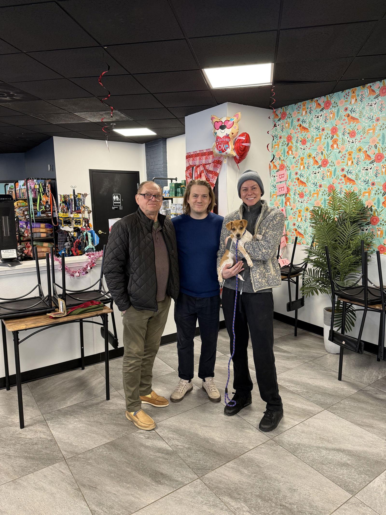 Enlarge Heather's Tippy TX, a Adopted mixed breed in Boonton, NJ image 1/3