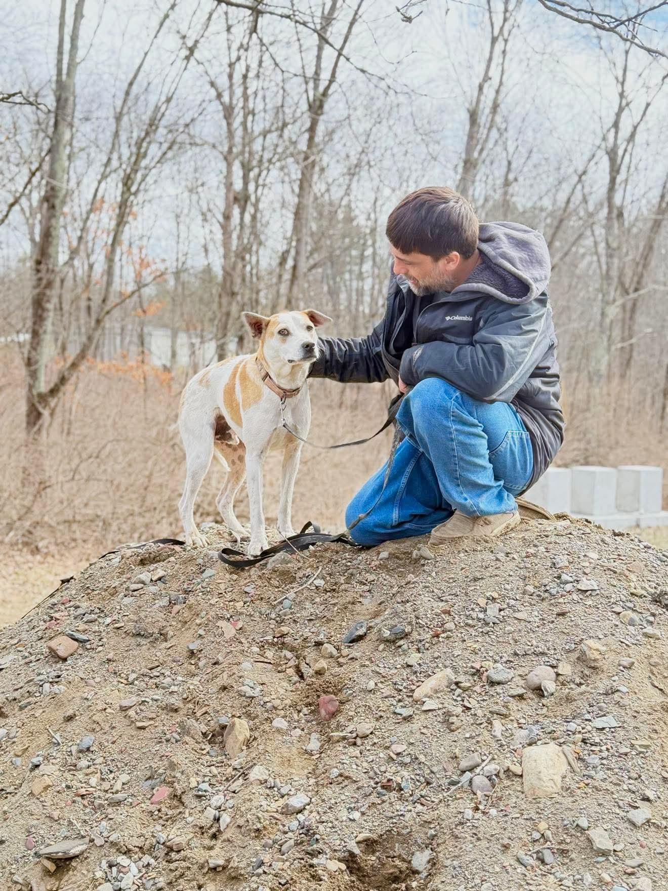 Enlarge Petey , a Adoptable mixed breed in Argyle, NY image 5/6