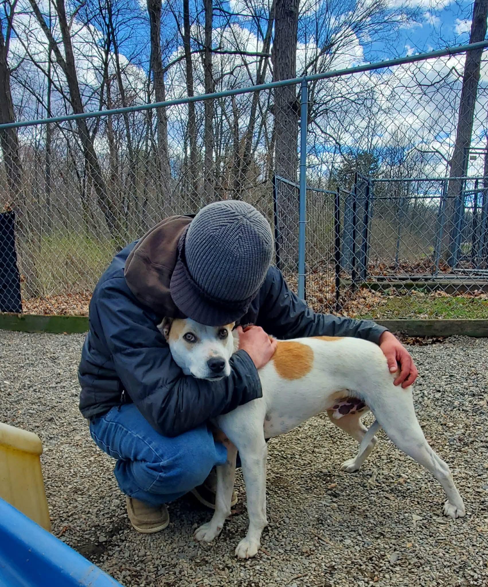 Enlarge Petey , a Adoptable mixed breed in Argyle, NY image 6/6