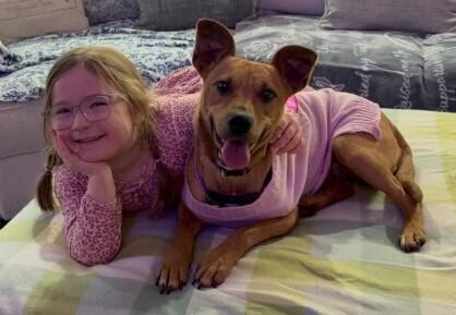 Enlarge Autumn Raye, a Adopted mixed breed in Gillsville, GA image 5/5