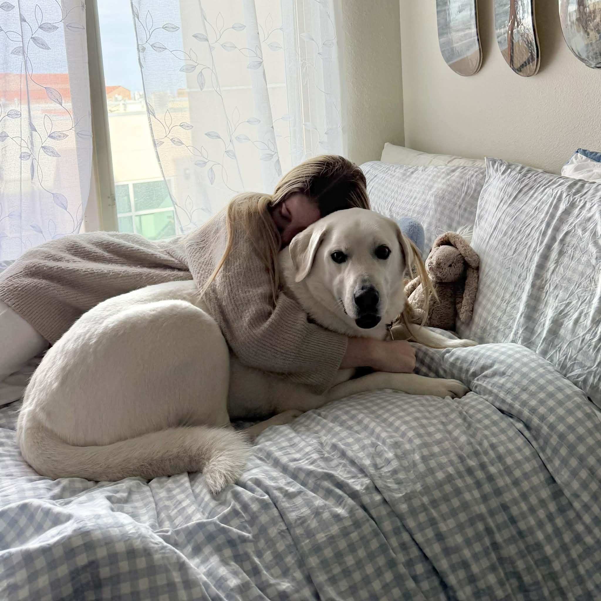 Marley, a ADOPTABLE mixed breed in Boulder, CO image 2/6