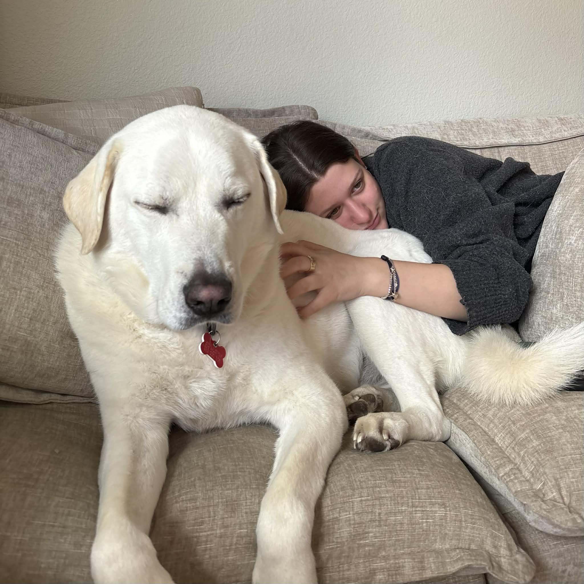 Marley, a ADOPTABLE mixed breed in Boulder, CO image 6/6