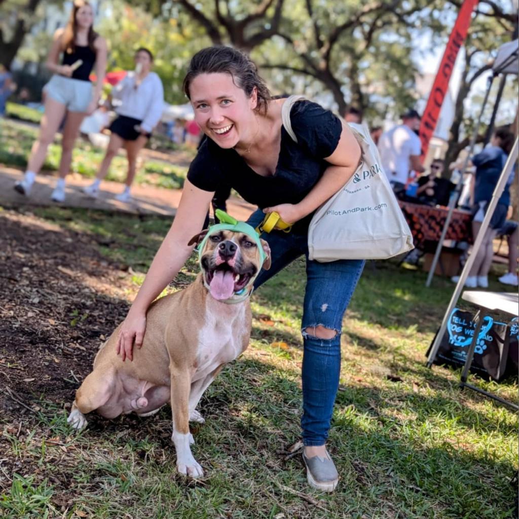 Frankie 16, Adoptable, Adult Male Mixed Breed.