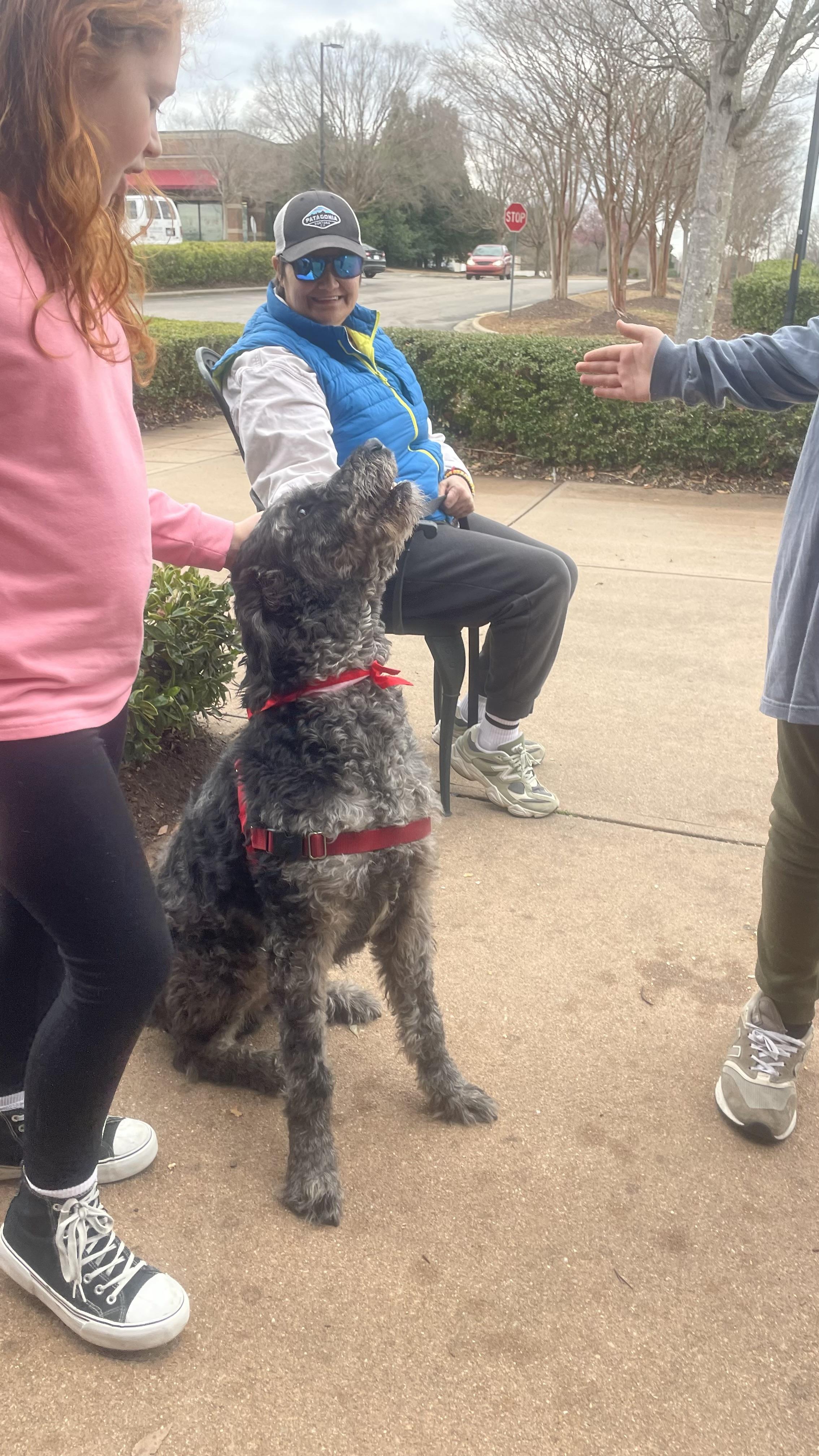 Enlarge Bandit, an adopted mixed breed in Cary, NC image 6/6