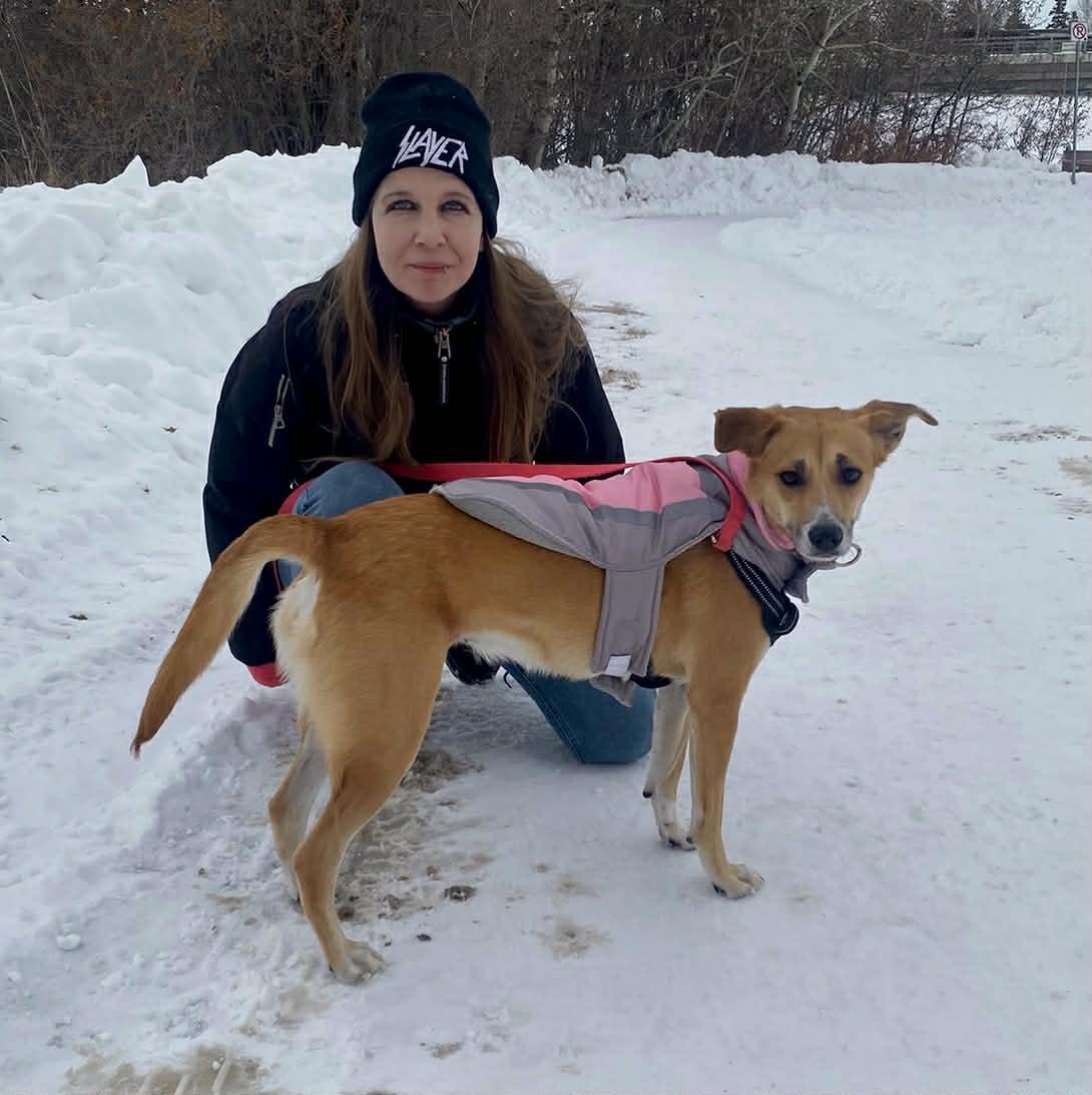 Enlarge Khaleesi, an adopted mixed breed in Edmonton, AB image 2/5